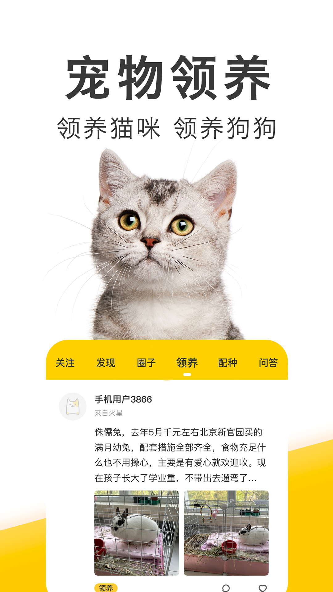 猫咪软件下载最新版本,猫咪软件下载最新版本大全