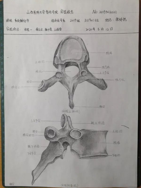 7777788888精准新传真112_准确资料解剖落实_尊贵版203.45.105.27