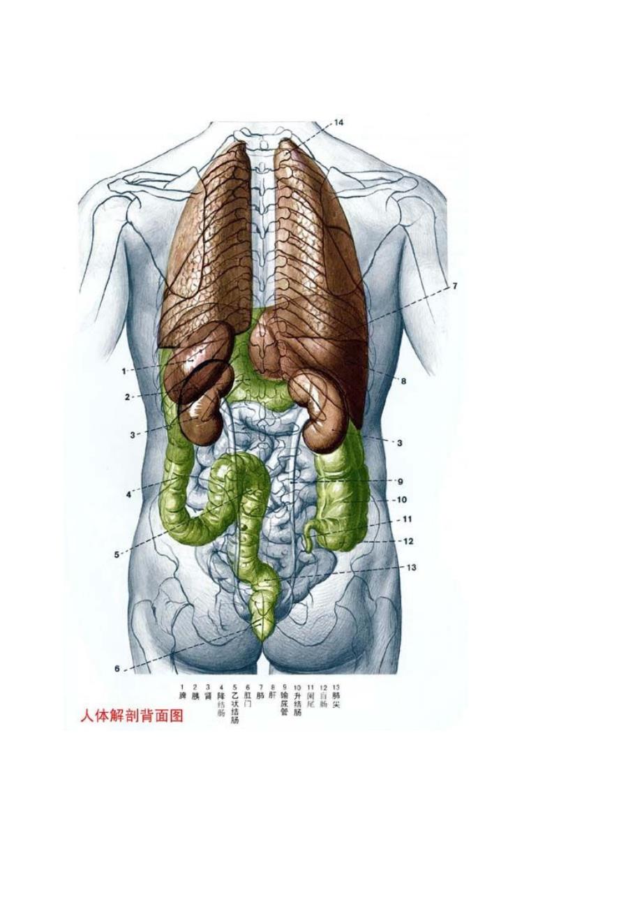 正版免费全年资料大全2012年_绝对经典解剖落实_尊贵版109.9.77.212